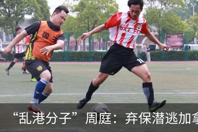 “乱港分子”周庭：弃保潜逃加拿大，扬言“永不回国”，如今怎样