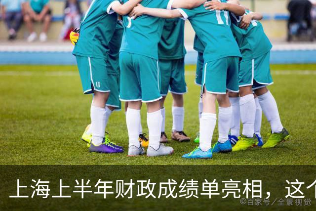上海上半年财政成绩单亮相，这个郊区暴涨引全城瞩目