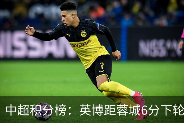 中超积分榜：英博距蓉城6分下轮直接对决，三镇落后保级区6分
