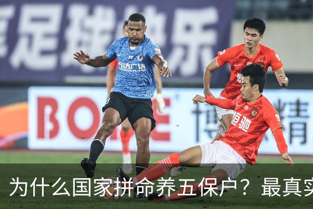 为什么国家拼命养五保户？最真实答案，比你想的残酷一百倍