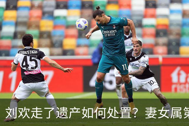 刘欢走了遗产如何处置？妻女属第一顺序继承人，最值钱遗产是版权