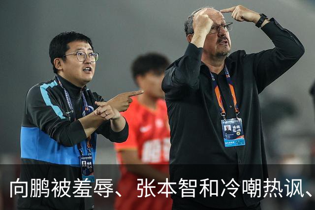 向鹏被羞辱、张本智和冷嘲热讽、温瑞博彻夜难眠 难怪樊振东去德