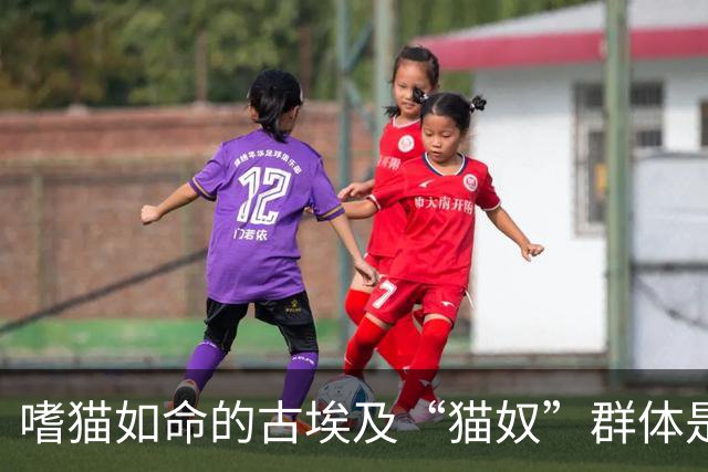 嗜猫如命的古埃及“猫奴”群体是怎样炼成的？