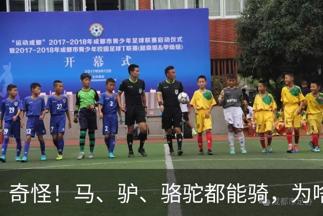 奇怪！马、驴、骆驼都能骑，为啥却没人驯服鹿当坐骑呢？