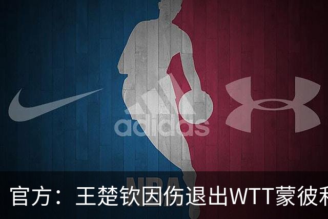 官方：王楚钦因伤退出WTT蒙彼利埃冠军赛 安宰贤递补