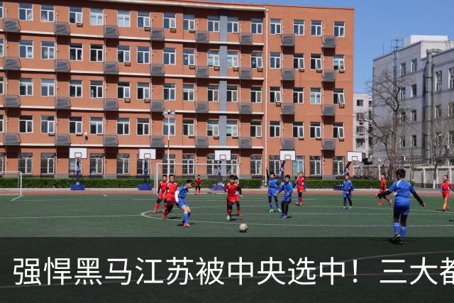 强悍黑马江苏被中央选中！三大都市圈悄然崛起，分工各挑大梁