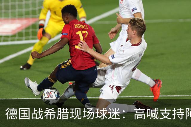 德国战希腊现场球迷：高喊支持阿德耶米，只为盖过辱骂