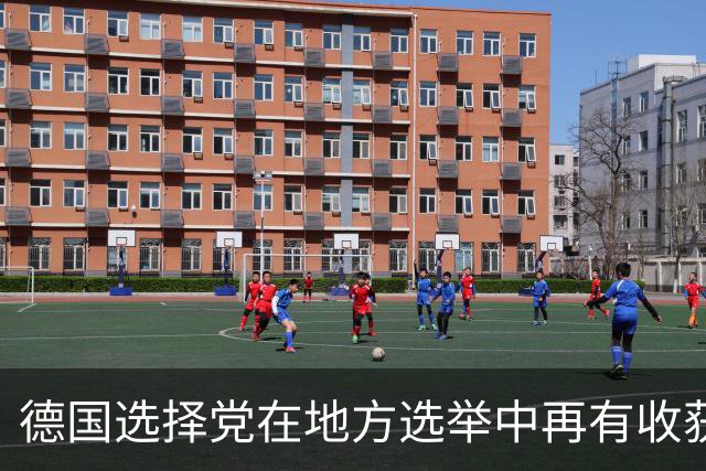 德国选择党在地方选举中再有收获，魏德尔离总理宝座又近一步