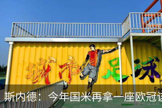 斯内德：今年国米再拿一座欧冠该多好，而且决赛又在马德里