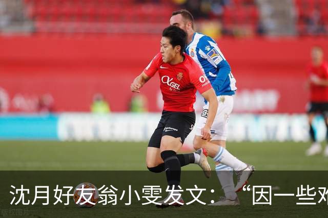 沈月好友翁小雯发文：“因一些难以承受与解决的事情，已经和伴侣分开”