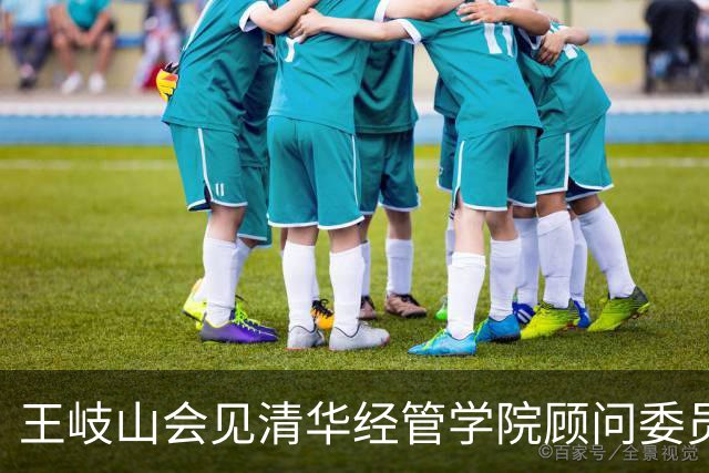 王岐山会见清华经管学院顾问委员会委员代表