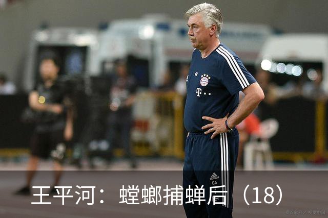 王平河：螳螂捕蝉后（1/8）