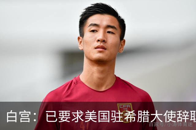 白宫：已要求美国驻希腊大使辞职
