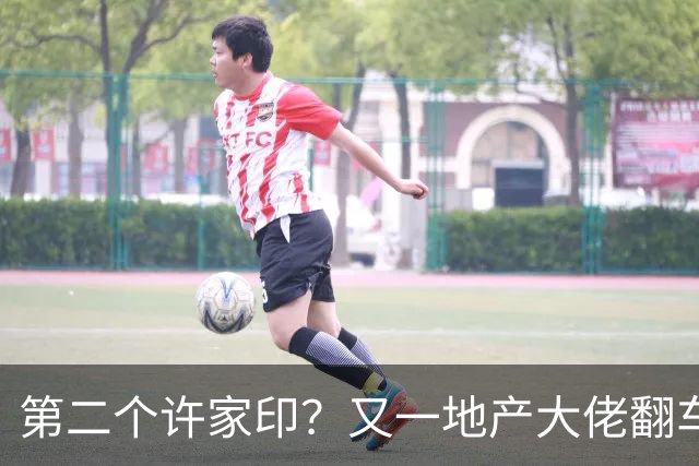 第二个许家印？又一地产大佬翻车，涉案超200亿，现正式立案调查
