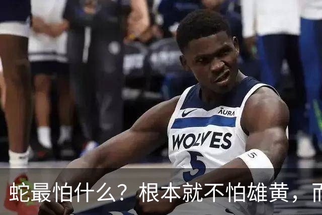 蛇最怕什么？根本就不怕雄黄，而是这四样，第4种沾上就会让它毙命