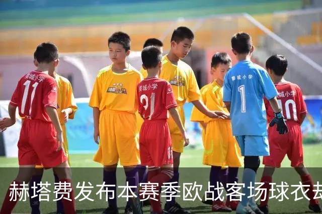 赫塔费发布本赛季欧战客场球衣却不对外售卖，引发球迷不满