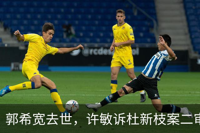 郭希宽去世，许敏诉杜新枝案二审为何还能继续？