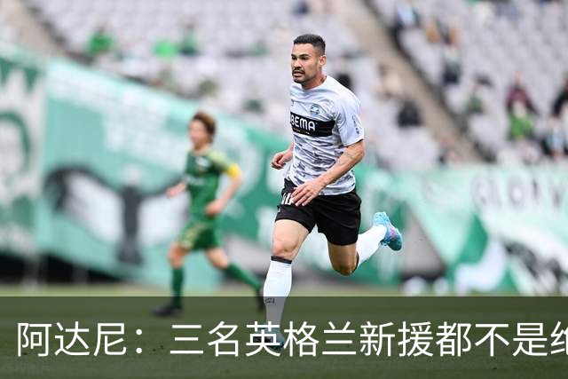 阿达尼：三名英格兰新援都不是绝对主力，这体现出国米阵容很强大