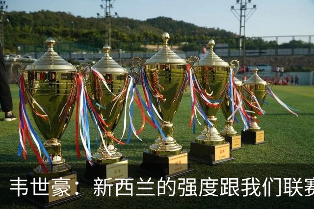 韦世豪：新西兰的强度跟我们联赛不太一样；球队表现不错但丢球太早