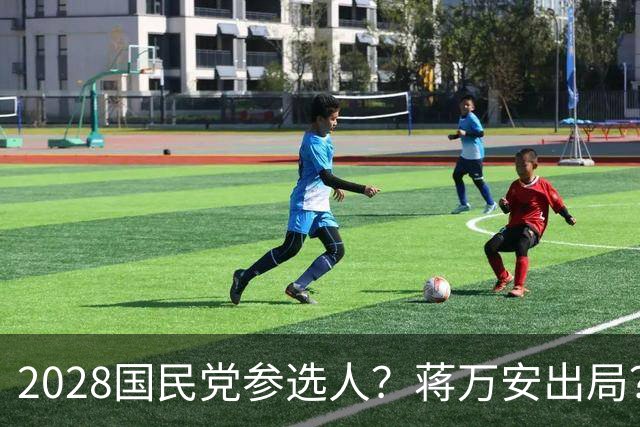 2028国民党参选人？蒋万安出局？一人要和卢秀燕一争高下